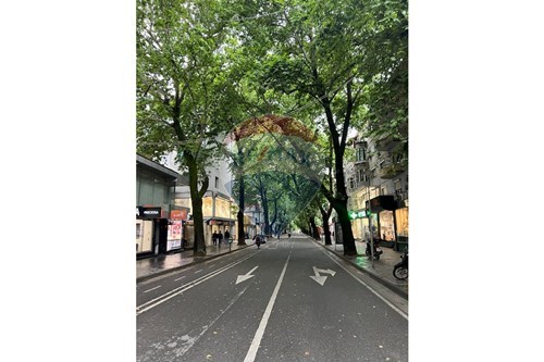 Commercial - Shop Single Tenant - Myslym Shyri, Myslym Shyri, Tiranë - AL