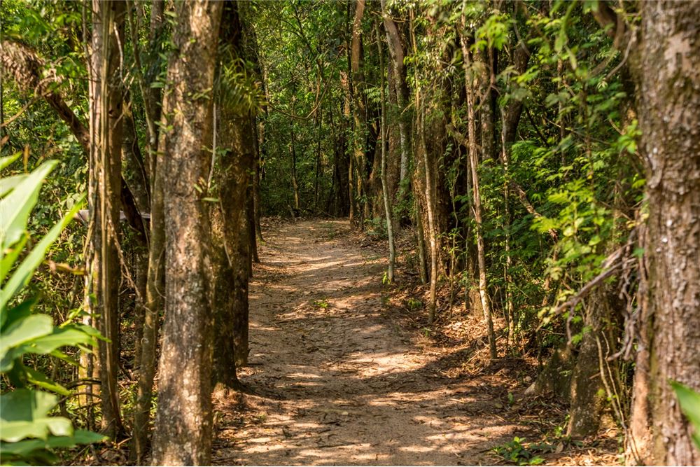 Residencial Ibi Aram II, São Paulo, Brasil