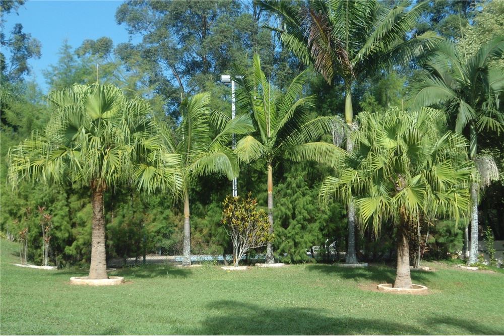 Condomínio Terras De Santa Teresa, São Paulo, Brasil