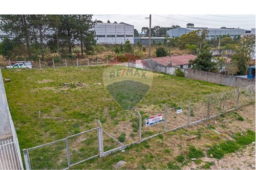 Venda-Terreno-Avenida Industrial , 2440  - Em frente a Renault do Brasil  - Roseira de São Sebastião , São José dos Pinhais , Paraná , 83070205-560391096-2