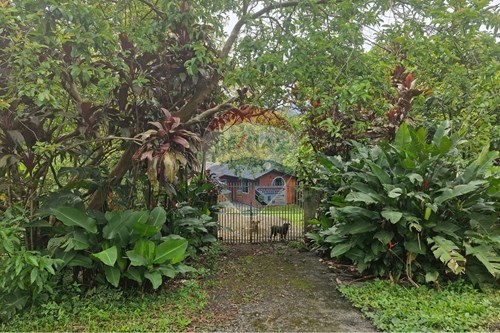 Venda-Chácara / Sítio / Fazenda-BR 376 , 670  - Pedra Branca do Araraquara  - Centro , Guaratuba , Paraná , 83280000-560321090-38