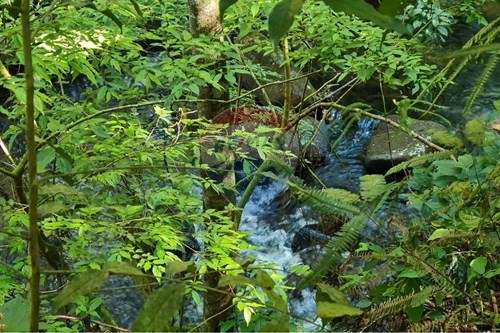 Slider Image Thumbnail