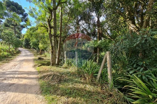 Venda-Galpão-Arujá , São José dos Pinhais , Paraná , 83020832-560331128-20