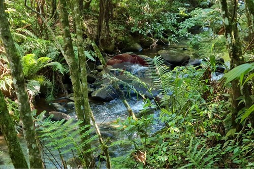 Slider Image Thumbnail