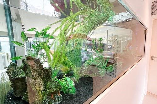 Slider Image Thumbnail