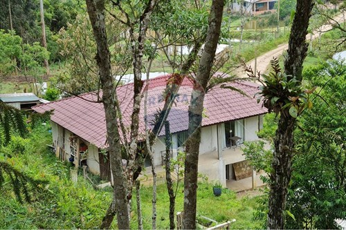 Venda-Chácara / Sítio / Fazenda-Centro , Tijucas do Sul , Paraná , 83198-890-560391051-16