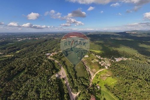 Venda-Terreno-Br 116 , Km 145  - Banca do Marcos  - Campestre dos Paulas , Mandirituba , Paraná , 83.800-000-560251068-41