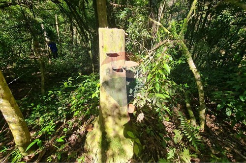 Slider Image Thumbnail