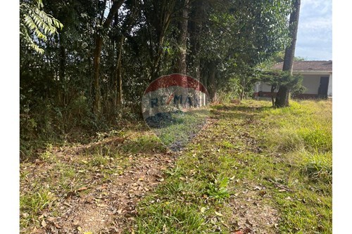 Slider Panorama Image Thumbnail