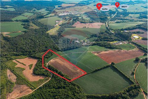 For Sale-Land-Localidade de Campinas , 00  - Centro , Fernandes Pinheiro , Paraná , 84535000-560361021-324