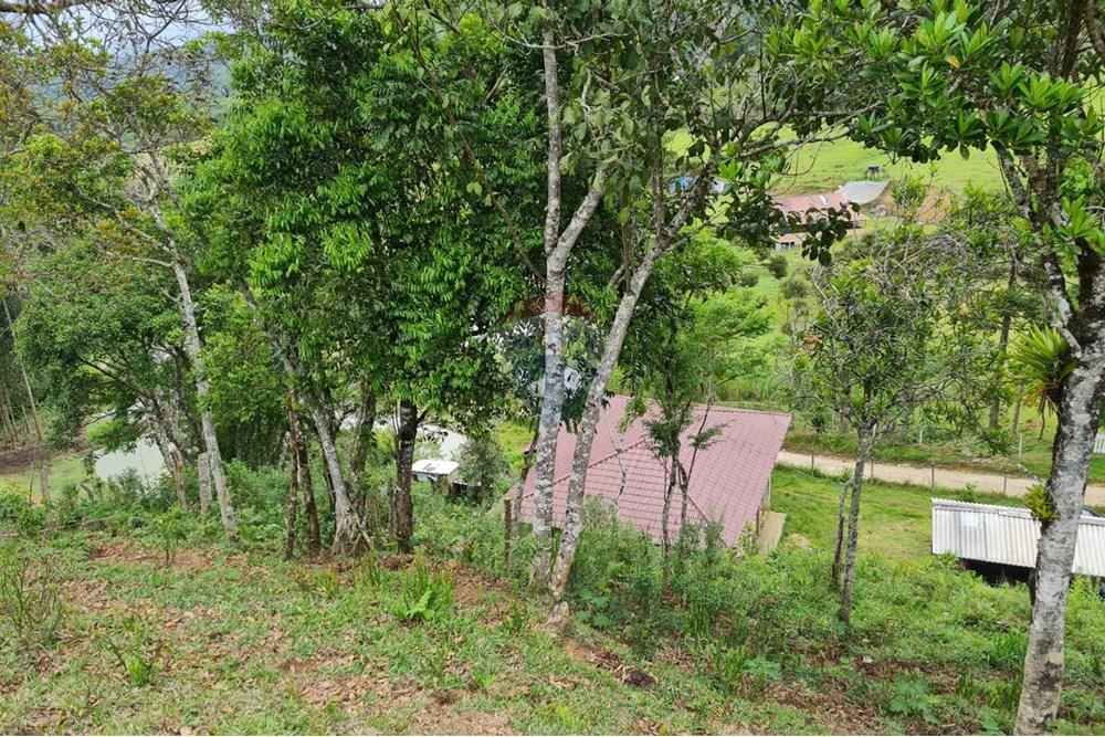 Chácara / Sítio / Fazenda - Venda - Tijucas do Sul , Paraná - 2281ead6-a0e6-4481-862d-54a339139876.jpeg - 560391051-16