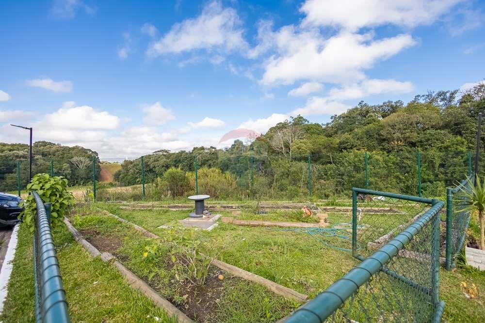 Apartamento - Venda - Araucária , Paraná - IMG_3329.jpg - 560251029-41