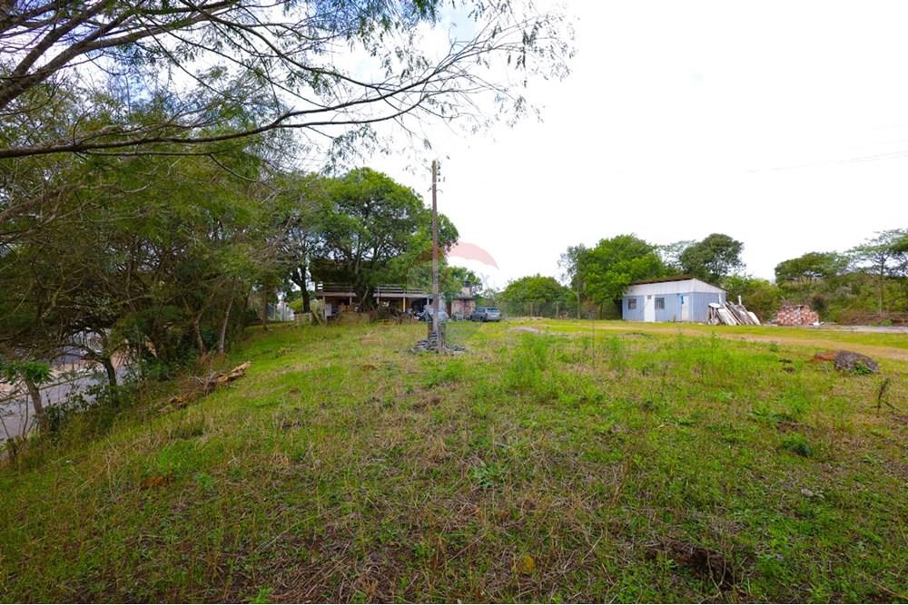 Chácara / Sítio / Fazenda - Venda - Almirante Tamandaré , Paraná - WhatsApp Image 2025-08-29 at 20.09.38(2).jpeg - 560461004-19