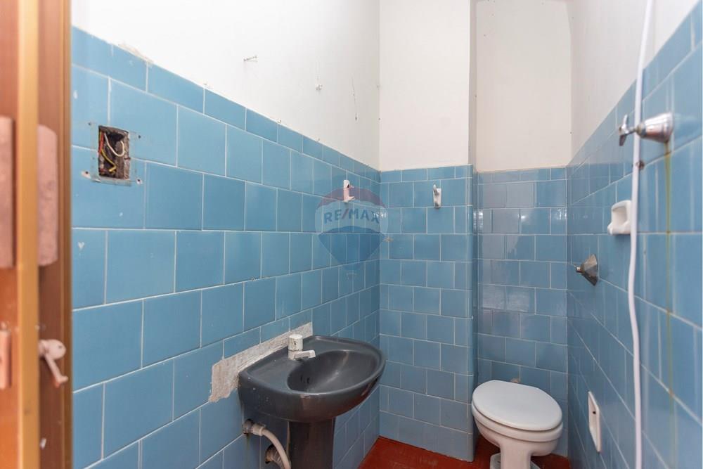 Loja - Alugar - Curitiba , Paraná - Sheep - _MG_8517_1.jpg - 560411052-129