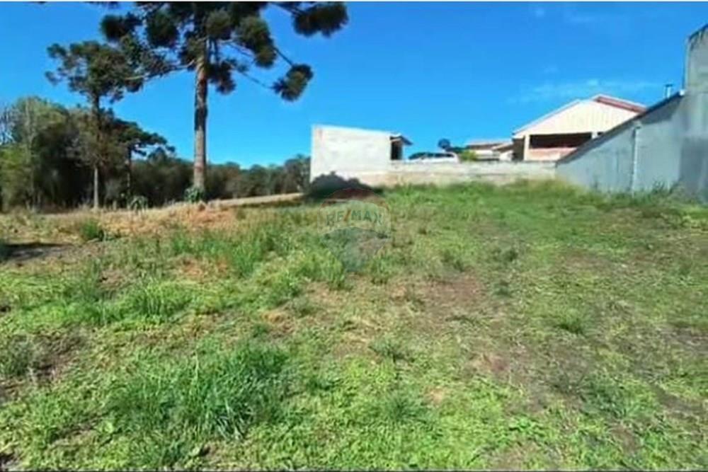 Terreno - Venda - Campo Largo , Paraná - WhatsApp Image 2025-10-06 at 22.58.55.jpeg - 560351155-5