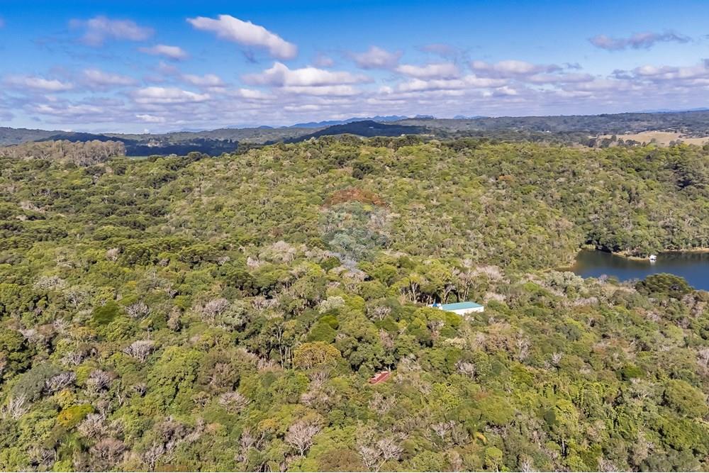 Chácara / Sítio / Fazenda - Venda - Piraquara , Paraná - DJI_0501_1.jpg - 560431012-39