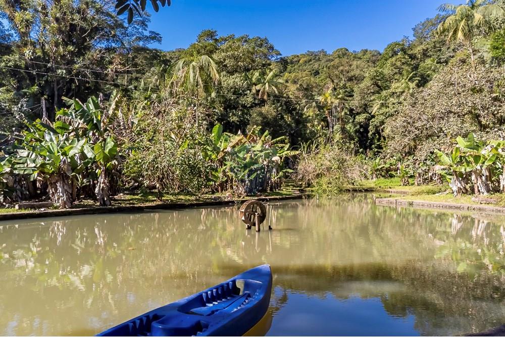 Chácara / Sítio / Fazenda - Venda - Antonina , Paraná - DJI_0673_1.jpg - 560411008-83