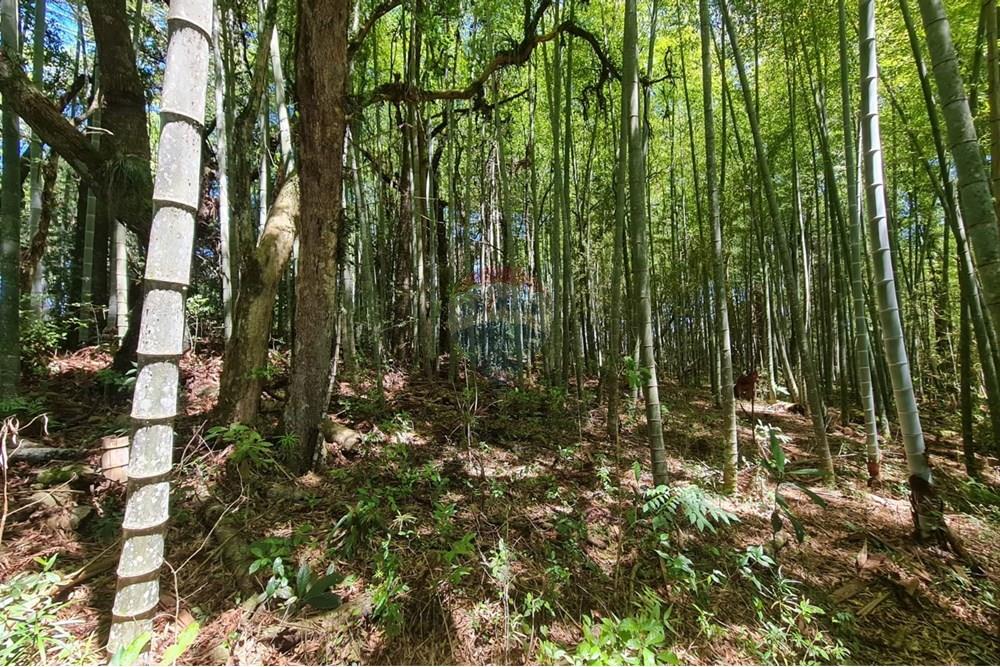 Chácara / Sítio / Fazenda - Venda - São José dos Pinhais , Paraná - a7ccd43c-6f4a-47a5-9ecd-250e4079116d.jpeg - 560331128-24