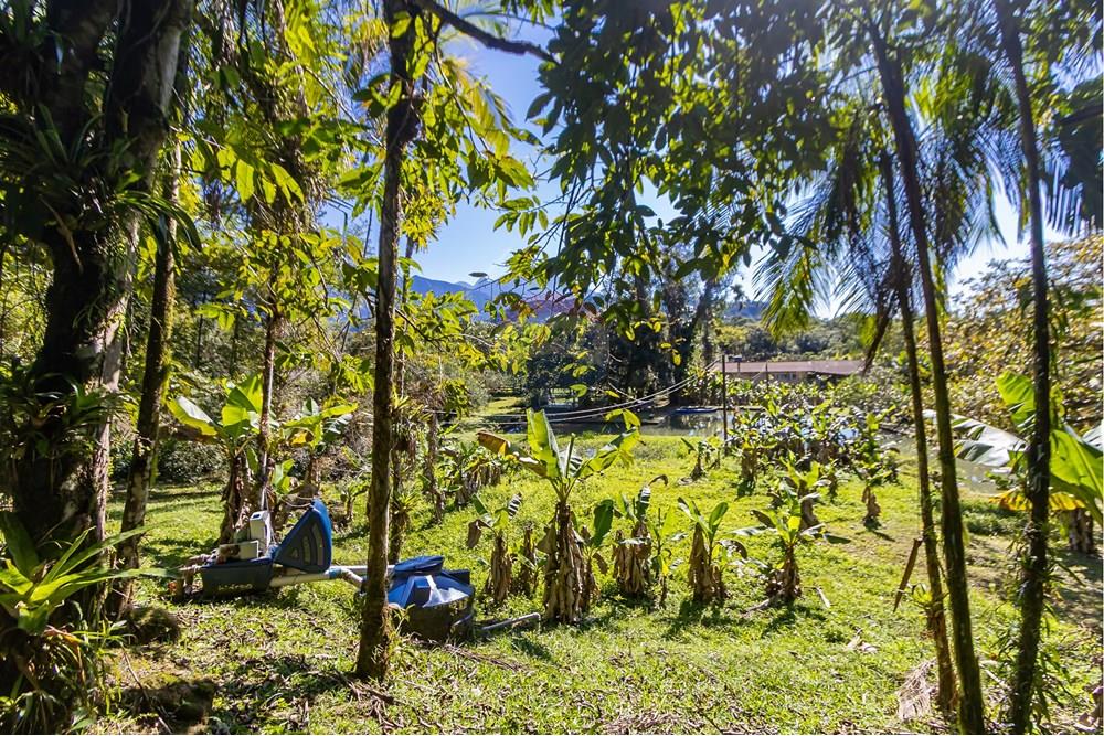 Chácara / Sítio / Fazenda - Venda - Antonina , Paraná - IMG_4794.jpg - 560411008-83