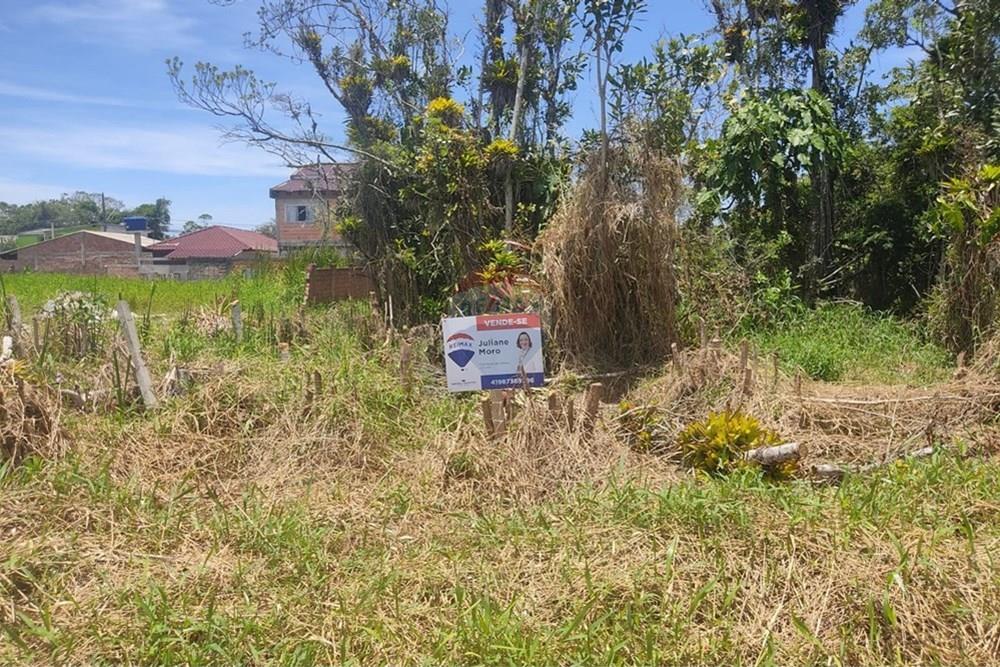 Terreno - Venda - Matinhos , Paraná - WhatsApp Image 2025-12-30 at 17.16.38.jpeg - 560221052-13