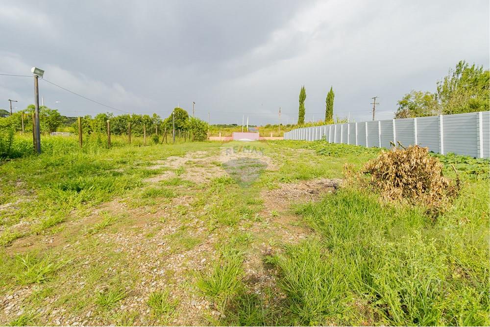 Chácara / Sítio / Fazenda - Alugar - Fazenda Rio Grande , Paraná - IMG_9372.jpg - 560391075-16