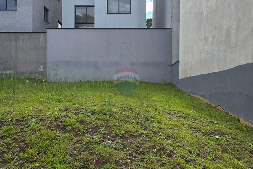 Terreno - Venda - Curitiba , Paraná - 20260212_162746.jpg - 560501001-16