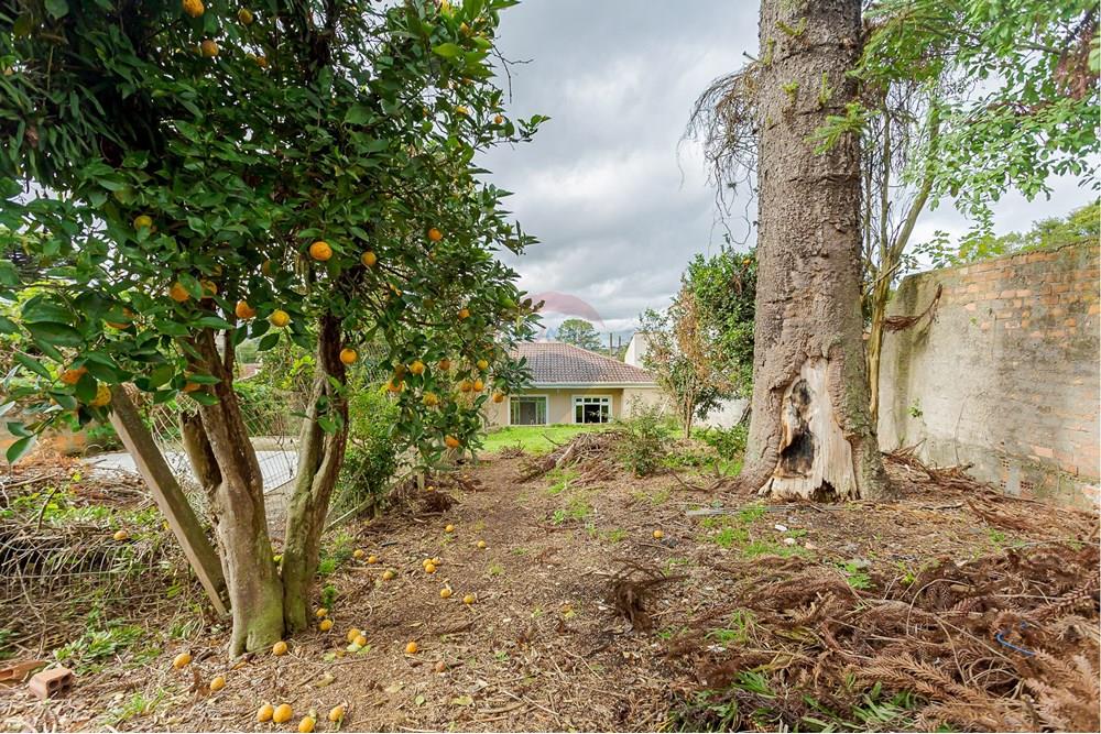 Casa - Venda - Curitiba , Paraná - IMG_2070.jpg - 560321141-1