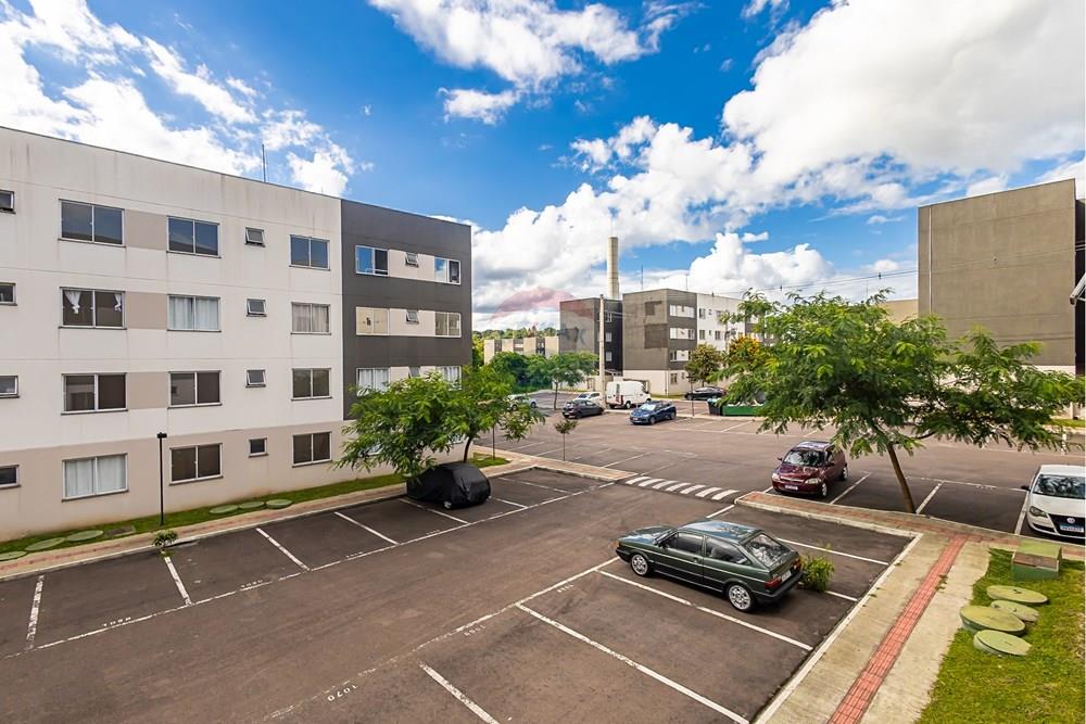 Apartamento - Venda - Campo Largo , Paraná - sheep - IMG_0120.jpg - 560311080-4