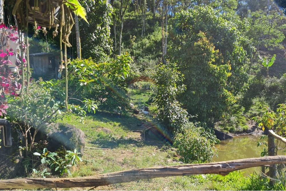 Chácara / Sítio / Fazenda - Venda - Tijucas do Sul , Paraná - cf495c40-b671-4464-8de0-77aa7b6a9cf1.jpeg - 560391051-20