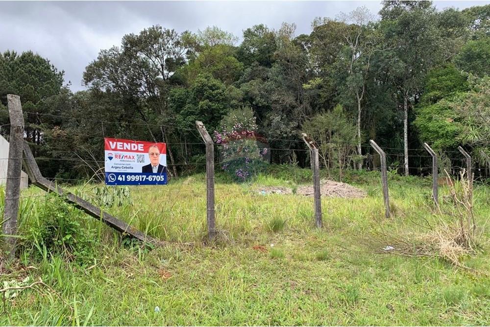 Terreno - Venda - Curitiba , Paraná - 12.jpg - 560461019-13