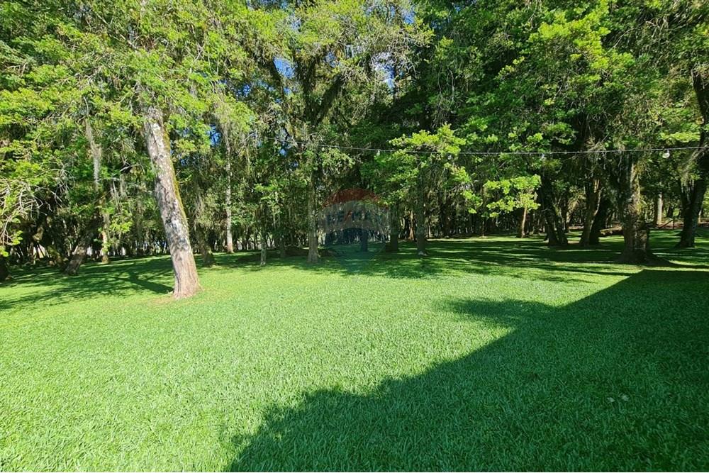 Casa Comercial - Alugar - São José dos Pinhais , Paraná - 77791358-4e71-421e-b673-8cc88d3f982a.jpeg - 560331128-18