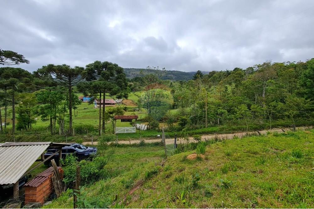 Chácara / Sítio / Fazenda - Venda - Tijucas do Sul , Paraná - a9daeee7-86e3-49cb-8379-cfb2c613be28.jpeg - 560391051-16