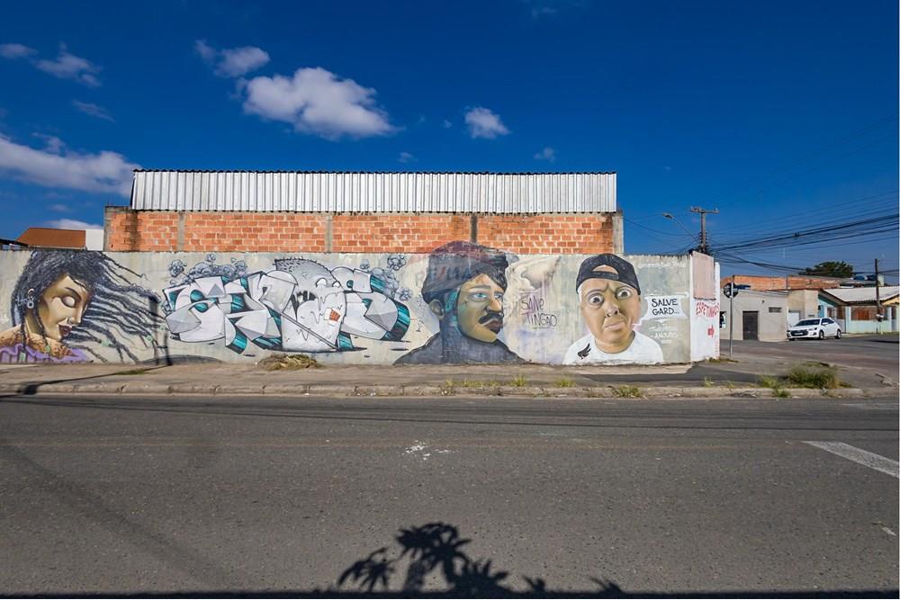 Terreno - Venda - Curitiba , Paraná - IMG_4085.jpg - 560461004-13