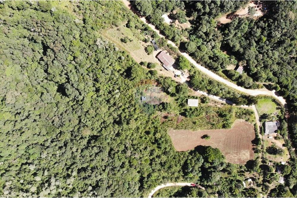 Chácara / Sítio / Fazenda - Venda - Campo Magro , Paraná - WhatsApp Image 2025-04-09 at 19.11.25.jpeg - 560351106-18