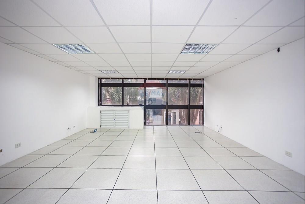 Turunduslik - Äripind - Curitiba , Paraná - BR - _MG_2279.jpg - 560351125-43