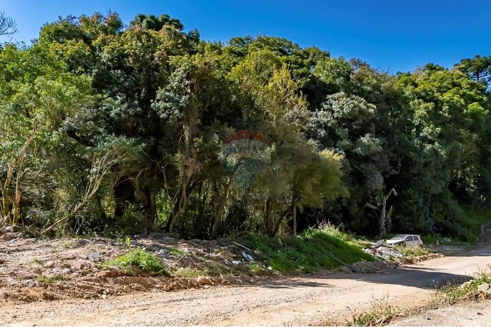 Terreno - Venda - Almirante Tamandaré , Paraná - DJI_20250912150827_0048_D_1.jpg - 560411008-76