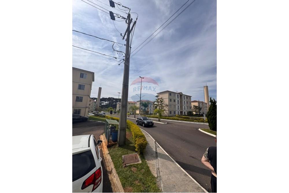 Apartamento - Venda - São José dos Pinhais , Paraná - WhatsApp Image 2025-05-03 at 16.13.47 (1).jpeg - 560251088-6