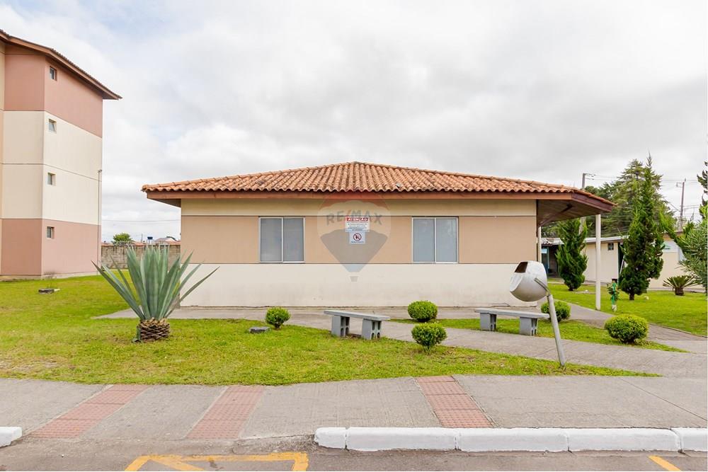 Apartamento - Venda - São José dos Pinhais , Paraná - IMG_2422.jpg - 560411027-30