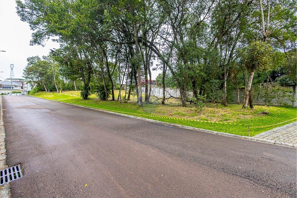 Terreno - Venda - Curitiba , Paraná - SHEEP - IMG_2549_1.jpg - 560341101-20