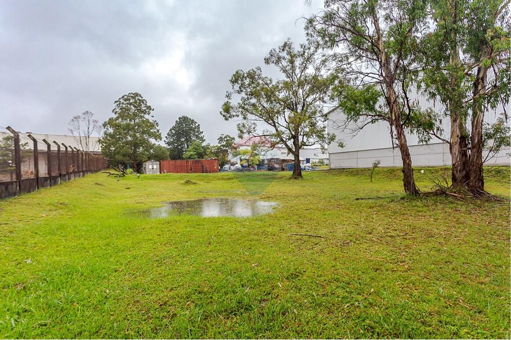 Galpão - Alugar - Curitiba , Paraná - IMG_2223.jpg - 560251029-57