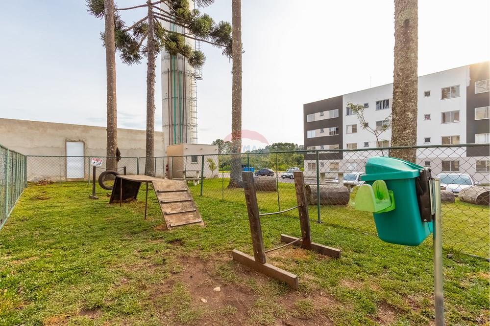 Apartamento - Venda - Campo Largo , Paraná - IMG_7125.jpg - 560311080-4