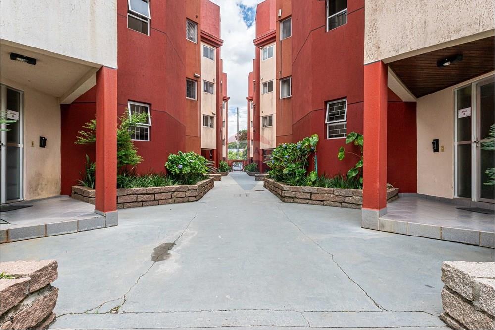 Apartamento - Venda - Curitiba , Paraná - _DSC0206.jpg - 560411044-123