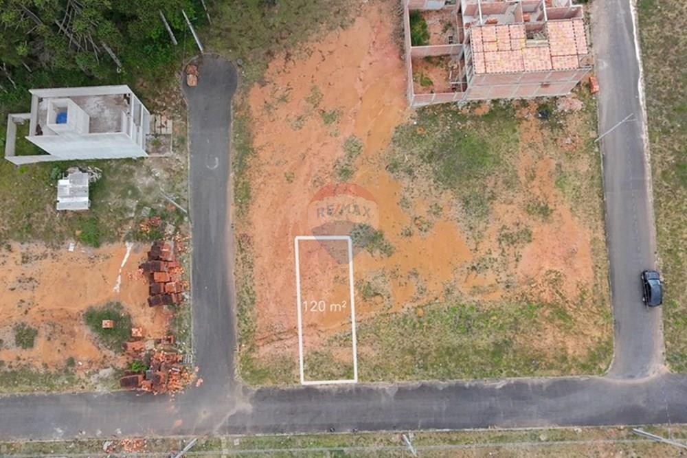 Terreno - Venda - Fazenda Rio Grande , Paraná - IMG-20251219-WA0021.jpg - 560321166-2