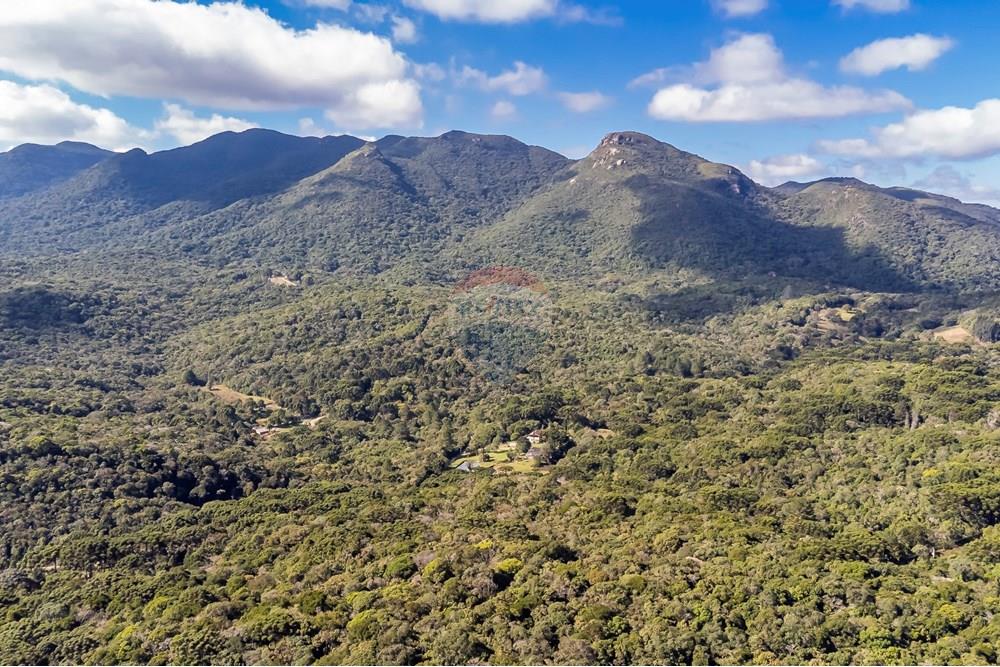 Chácara / Sítio / Fazenda - Venda - Piraquara , Paraná - DJI_0479_1.jpg - 560431012-39