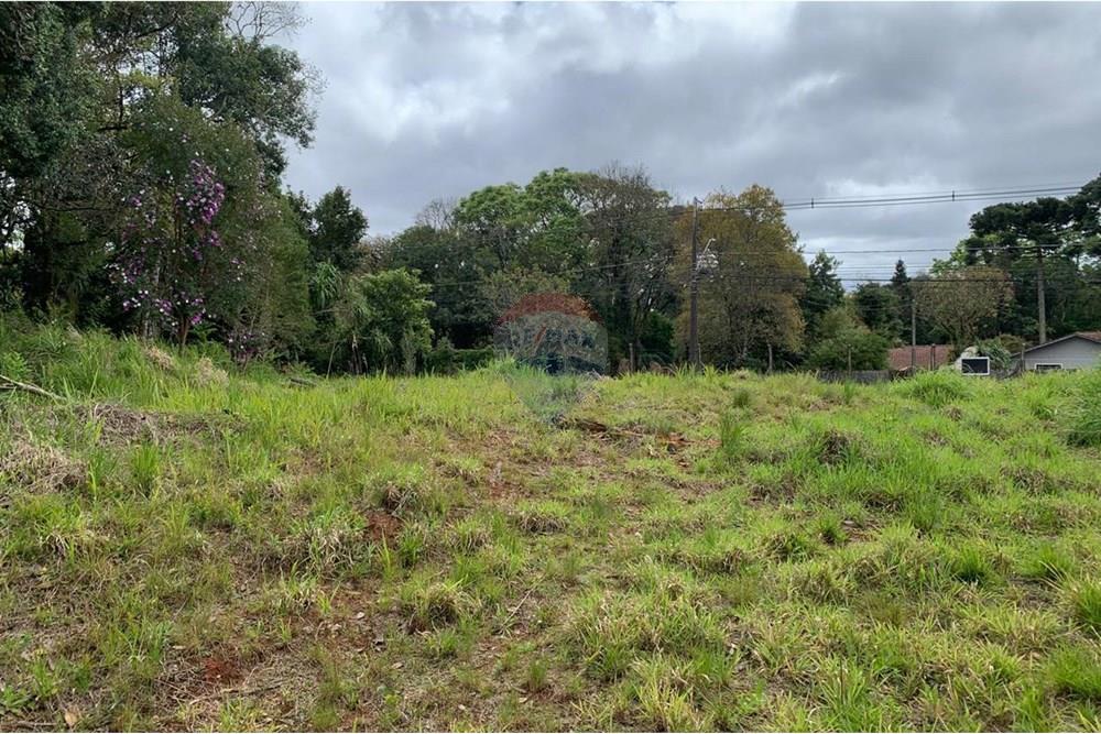 Terreno - Venda - Curitiba , Paraná - 16.jpg - 560461019-13