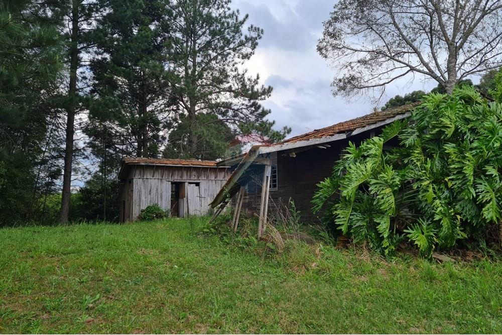 Chácara / Sítio / Fazenda - Venda - São José dos Pinhais , Paraná - 645ec53e-6b13-48f1-bf55-50ba419f59c4.jpeg - 560331128-24