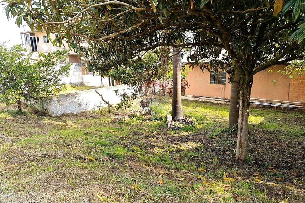 Terreno - Venda - São José dos Pinhais , Paraná - 0dd1c5c9-be61-4e83-8c4a-b5987ac273b3.jpeg - 560391051-19