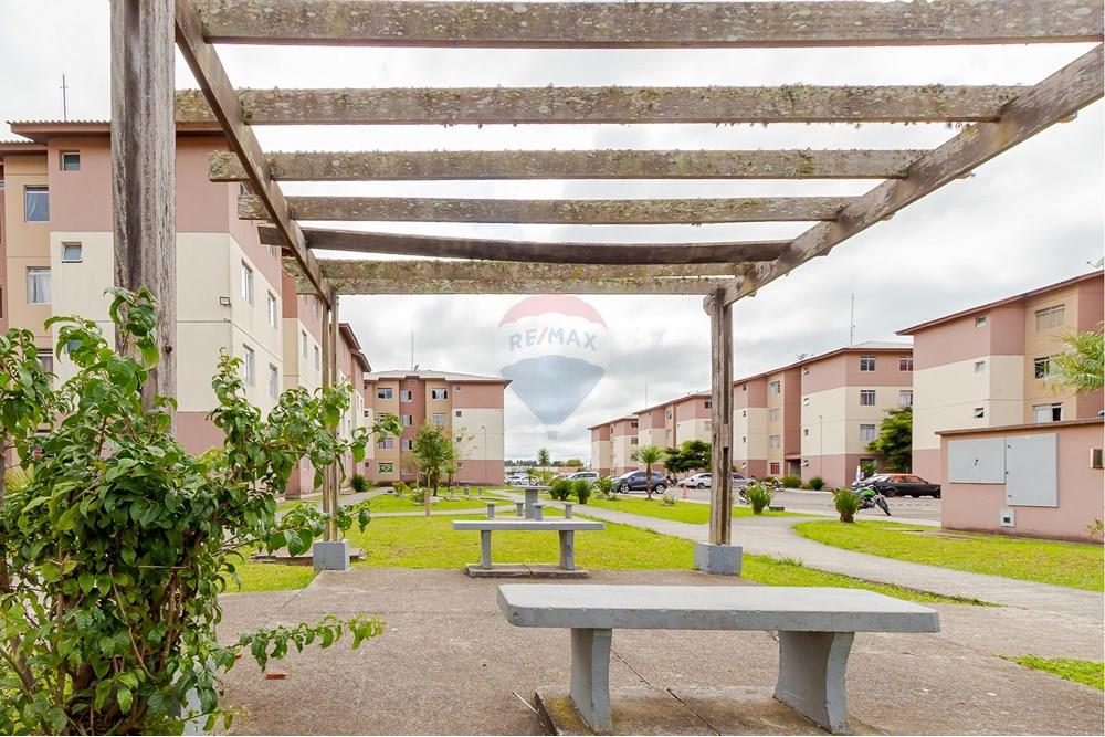 Apartamento - Venda - São José dos Pinhais , Paraná - IMG_2412.jpg - 560411027-25