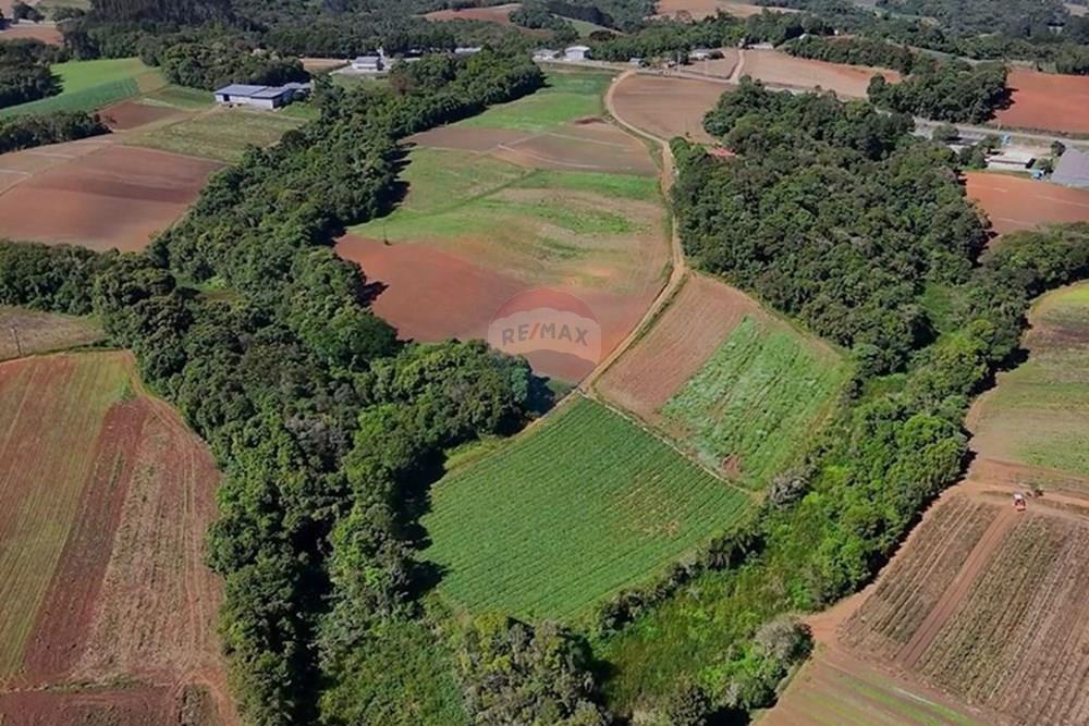Chácara / Sítio / Fazenda - Venda - São José dos Pinhais , Paraná - WhatsApp Image 2025-12-15 at 11.22.18 (4).jpeg - 560321160-2