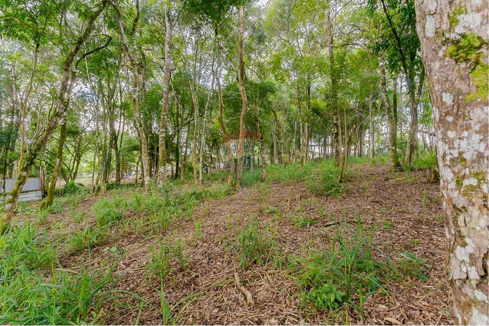 Terreno - Venda - Colombo , Paraná - _MG_7344.jpg - 560391062-13